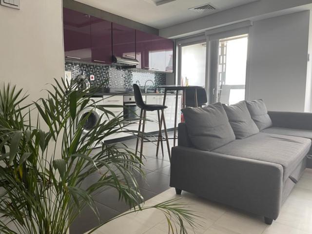 Cayan Tower Luxury Apartment With Sea View Ντουμπάι Εξωτερικό φωτογραφία